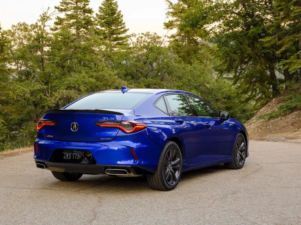 Acura TLX (2020) — вид сзади