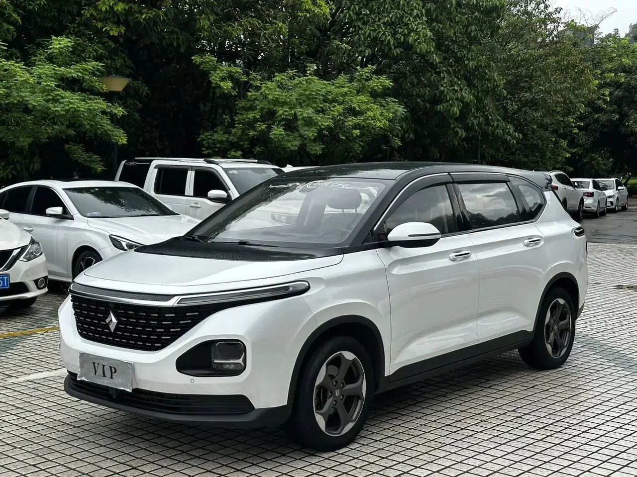 Baojun RM-5