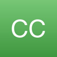 Светлана Степанова