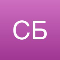 Светлана Борисова
