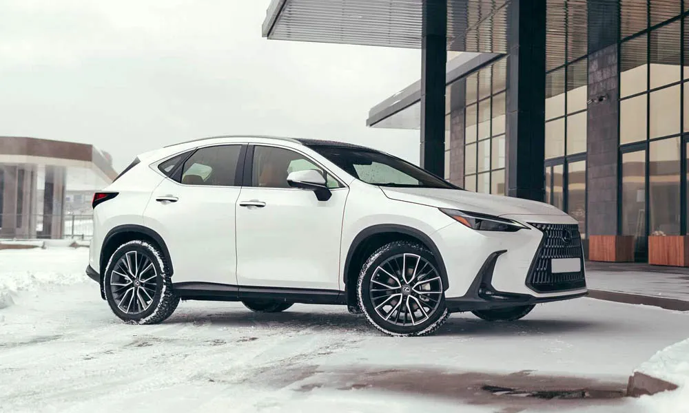 Фото Lexus NX 250 — вид спереди, фото 7. Анфас: пропорции капота, посадка кузова и графика ходовых огней Lexus NX 250 — вид спереди, фото 7