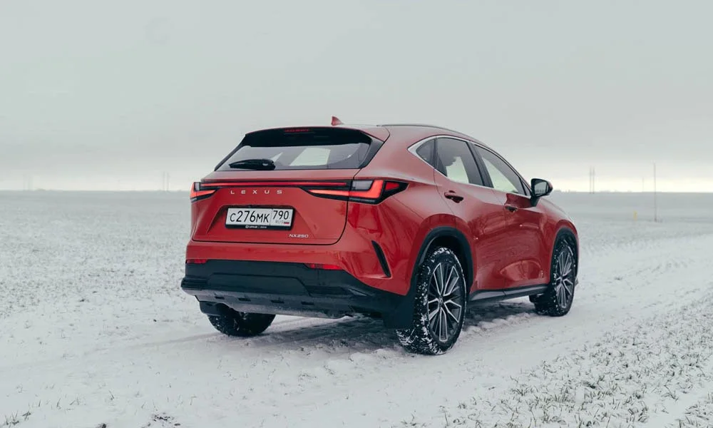 Фото Lexus NX 250 — вид сзади, фото 4. Линия крыши, стойки и задняя дверь в красном исполнении Lexus NX 250 — вид сзади, фото 4