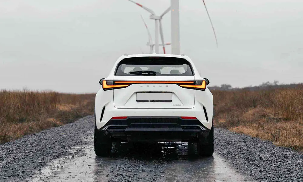 Фото Lexus NX 250 — вид сзади, фото 8. Белый кузов сзади — фонари и бампер определяют ночной образ модели Lexus NX 250 — вид сзади, фото 8
