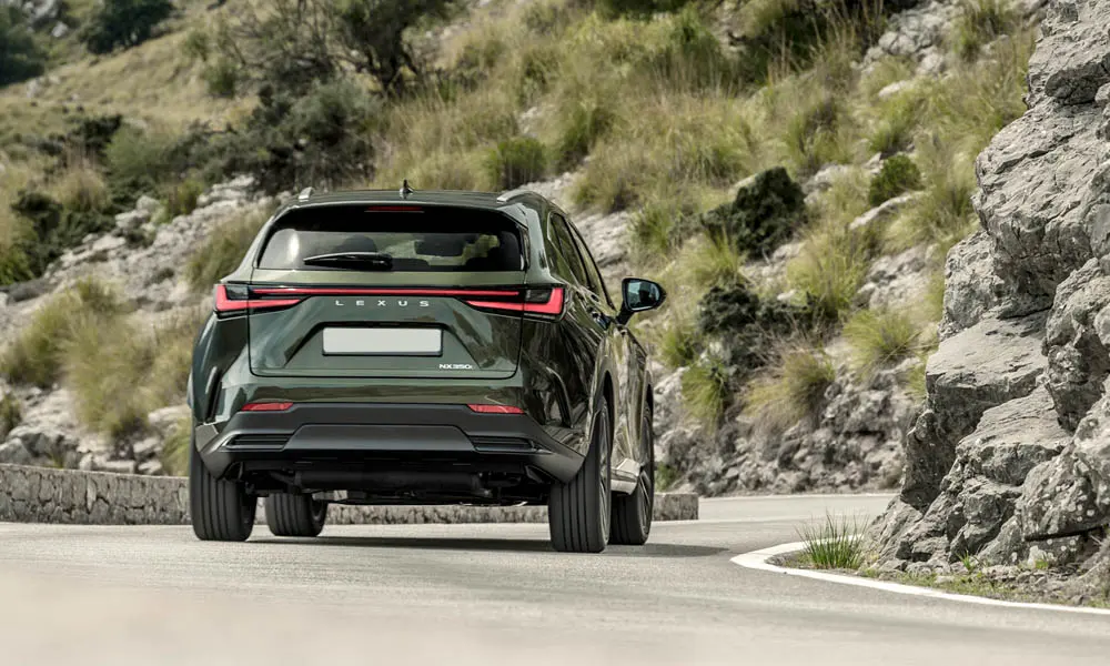 Фото Lexus NX 350 — вид сзади, фото 8. Линия крыши, стойки и задняя дверь в зелёном исполнении Lexus NX 350 — вид сзади, фото 8
