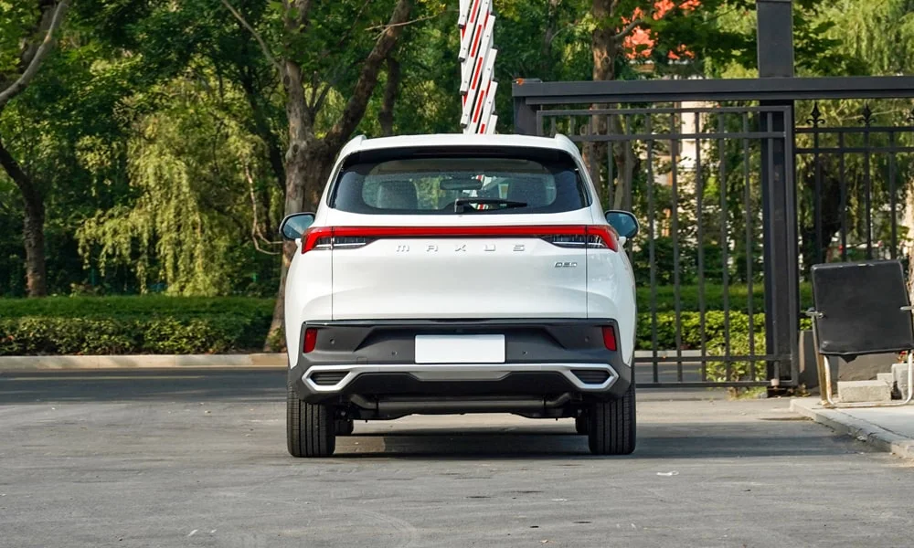 Maxus D60